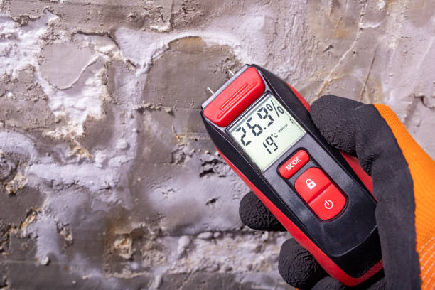 Cottonwood Heights, UT Mold Removal Company